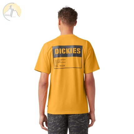 فروشگاه کوهنوردی دهلیز شاپ - تیشرت دیکیز Dickies Street Utility Graphic Tshirt