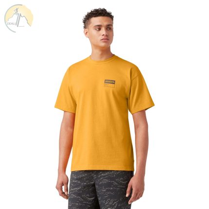 فروشگاه کوهنوردی دهلیز شاپ - تیشرت دیکیز Dickies Street Utility Graphic Tshirt