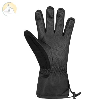 دهلیز شاپ - دستکش اسکی مردانه Auclair Adam Men's Gloves