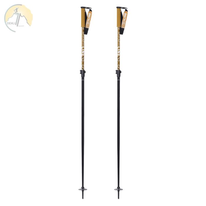 دهلیز شاپ - باتوم اسکی لاین Line Paintbrush Poles 2025
