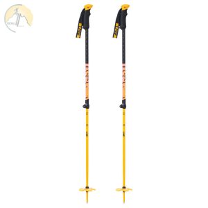 دهلیز شاپ - باتوم اسکی لاین Line Vision Poles 2025