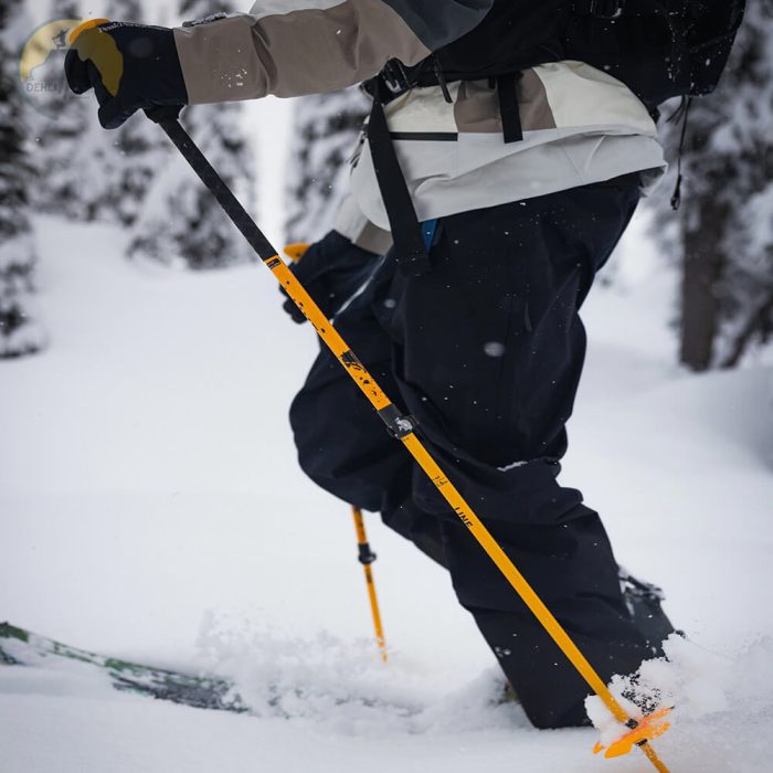 دهلیز شاپ - باتوم اسکی لاین Line Vision Poles 2025