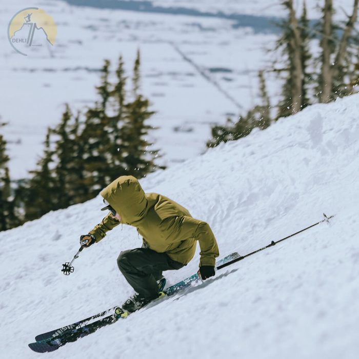دهلیز شاپ - چوب اسکی لاین Line Vision 96 Skis 2025